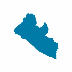 Liberya Vizesi